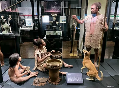 日本人とつながりの深い生き物（日本館2階）