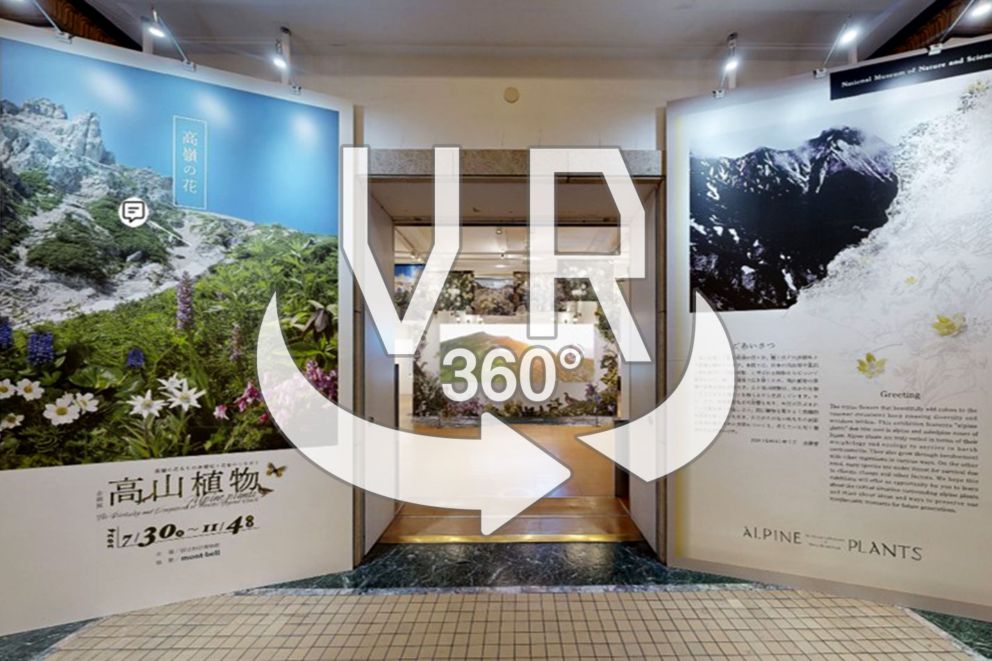 VR企画展「高山植物～高嶺の花たちの多様性と生命のつながり～」