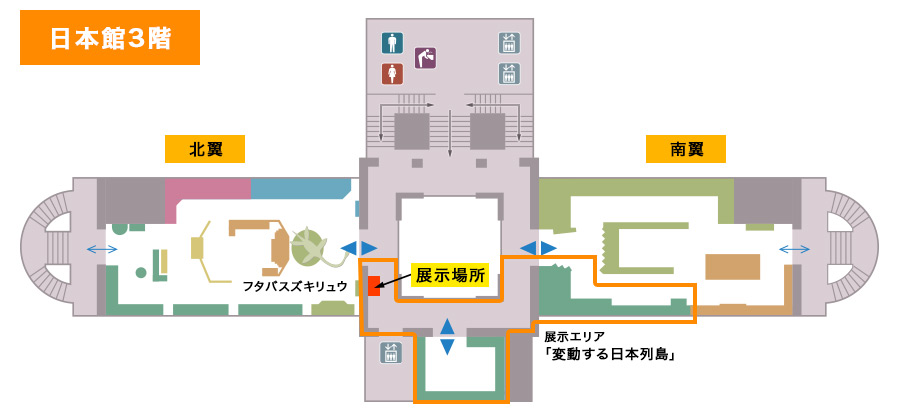 国立科学博物館 日本館3階　回廊「変動する日本列島」日本の鉱物