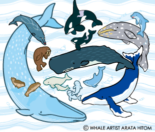 (C)WHALE ARTIST ARATA HITOM