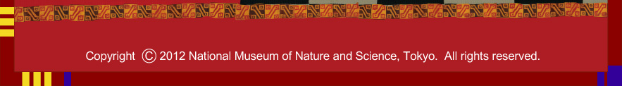 Ȋwف@Copyright 2012 National Museuam of Nature and Science, Tokyo. All right researved.