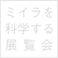 ミイラを科学する展覧会