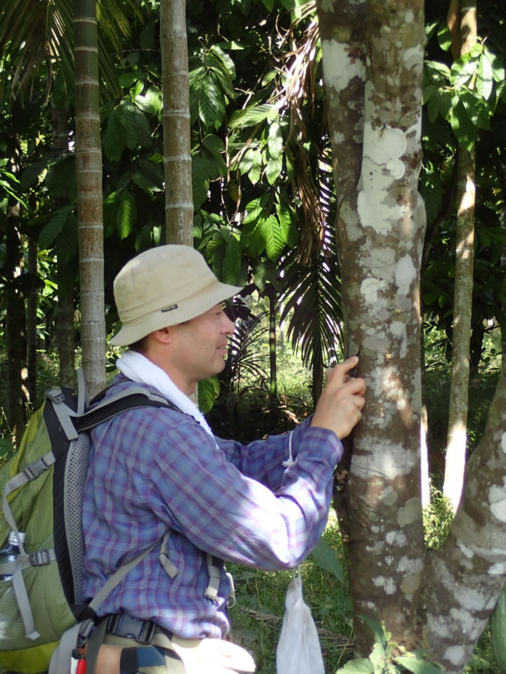 Dr. Yoshihito Ohmura (Lichens)