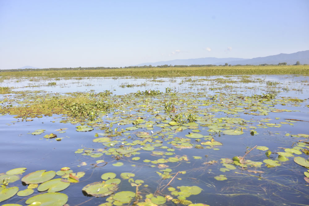 Indawgyi Lake