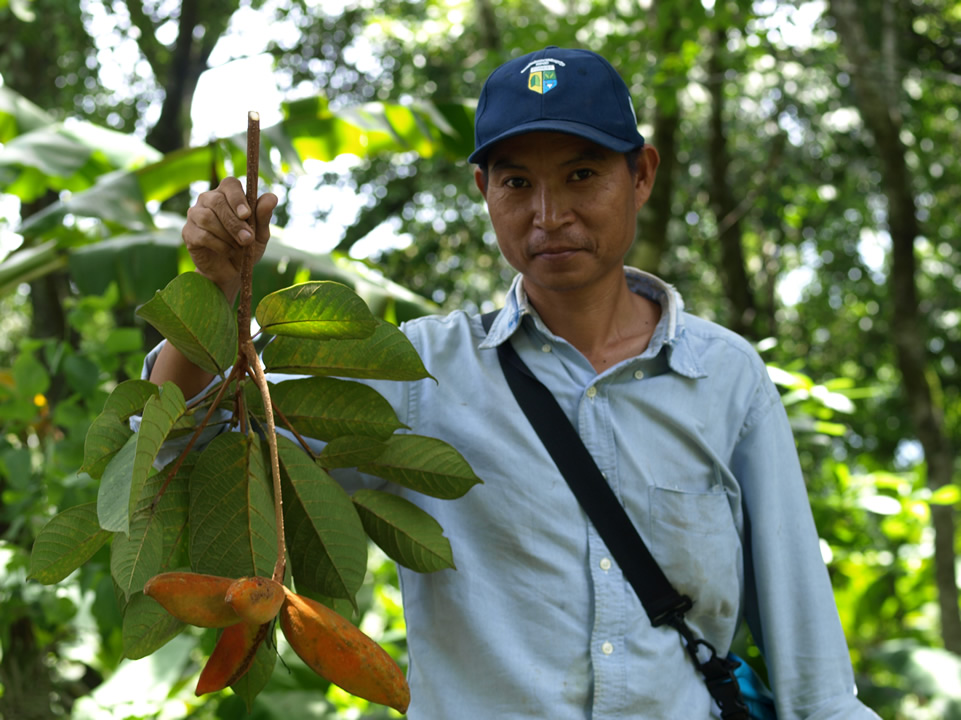 Myo Myint Oo