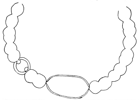 Dolichospermum circinale
