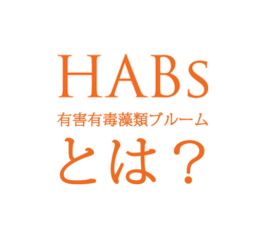 HABsとは？