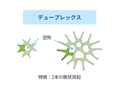 デュープレックス