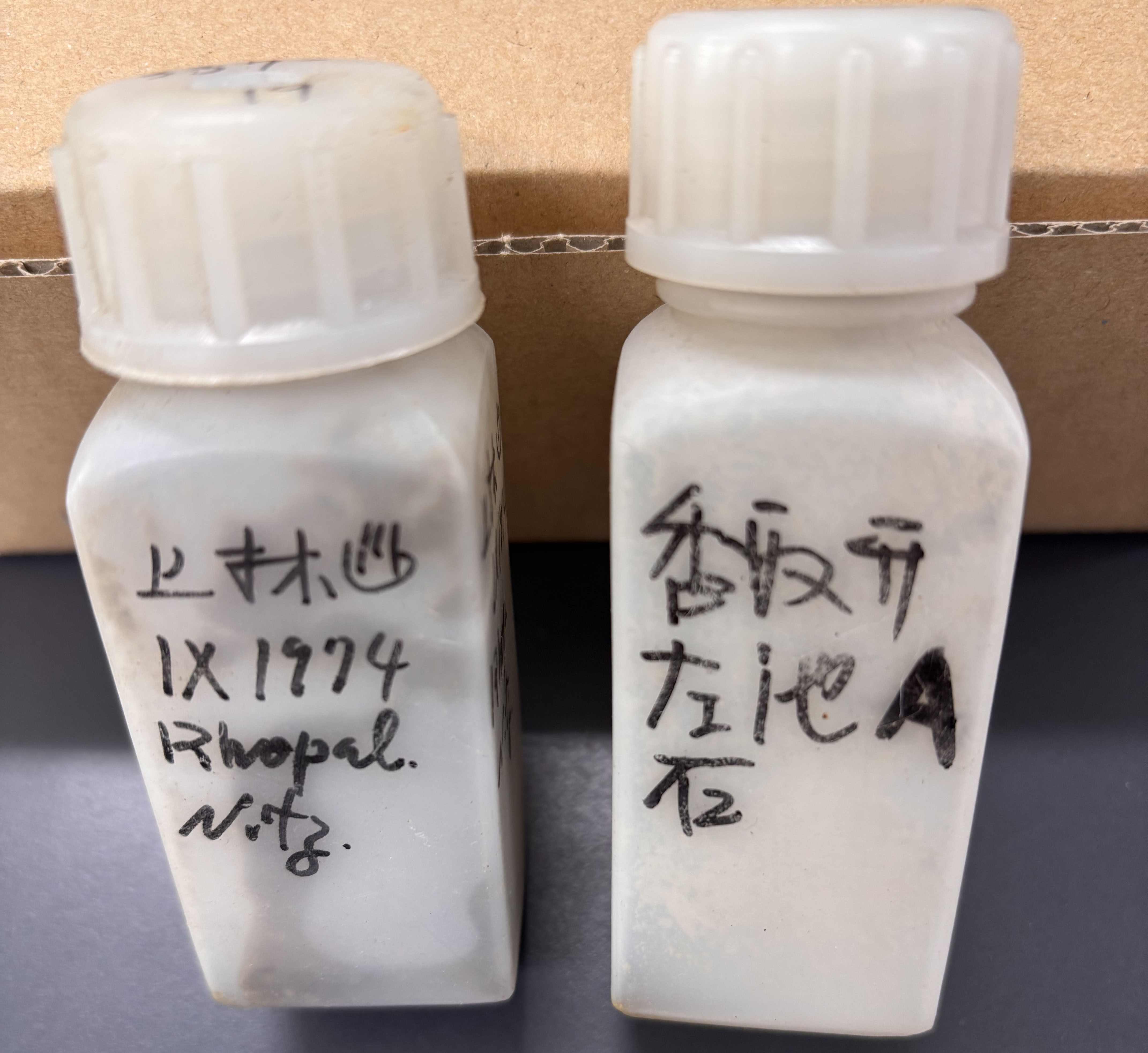 特殊な書き方の標本
