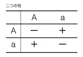 二つの性