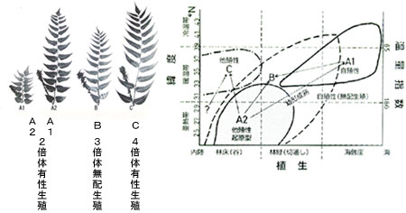 Iju\ec