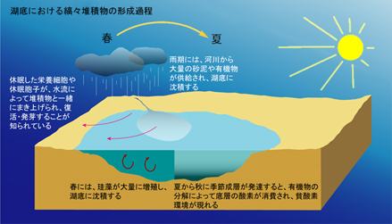 湖底における縞々堆積物の形成過程